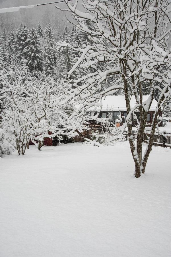 Gipfelkoenig Apartment Bayrischzell Exterior foto